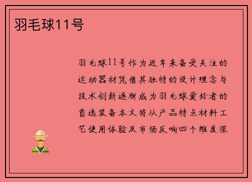 羽毛球11号